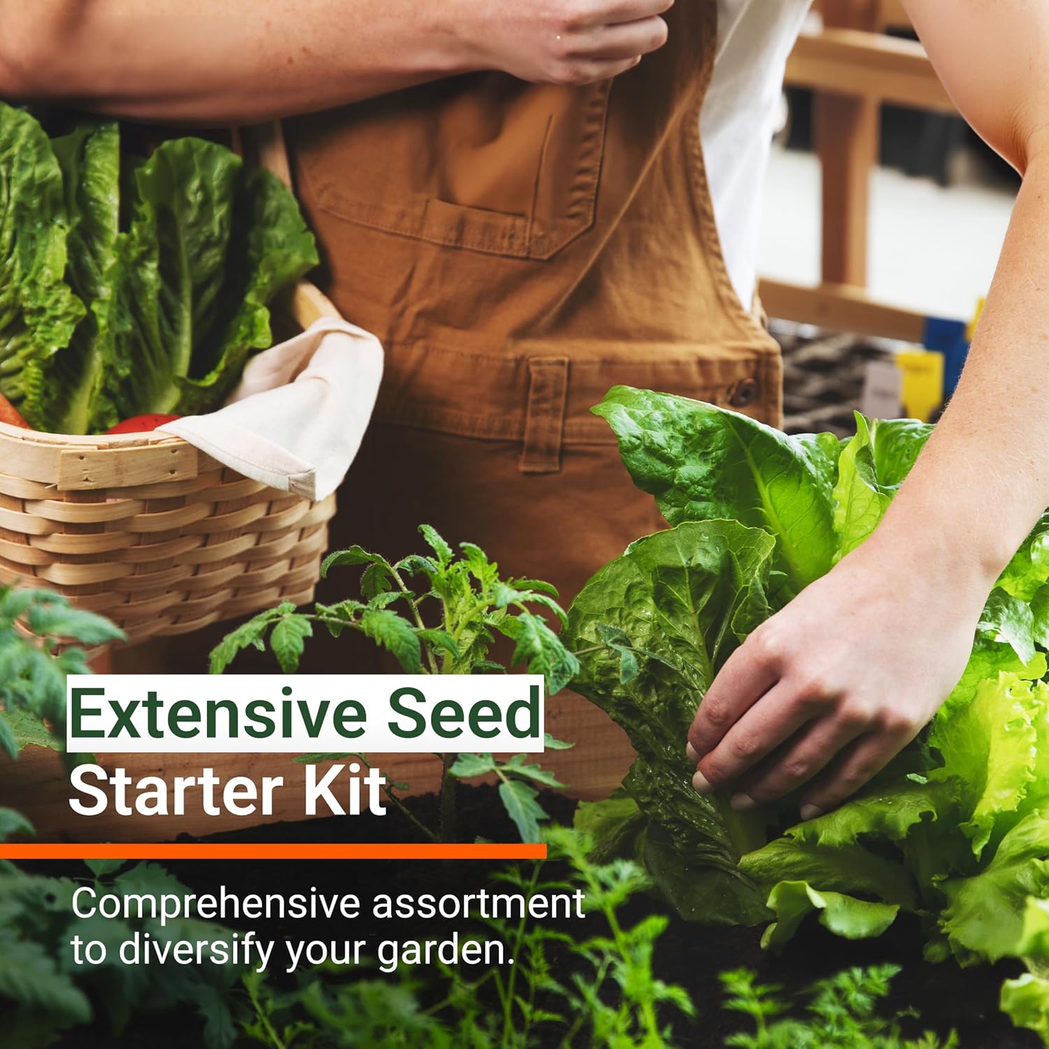 |15,000 Heirloom Seeds | 32 Seed Types | Survival Seeds | 2026 Season | Non GMO Vegetable and Fruit Seeds | Planting Outdoor & Indoor Garden