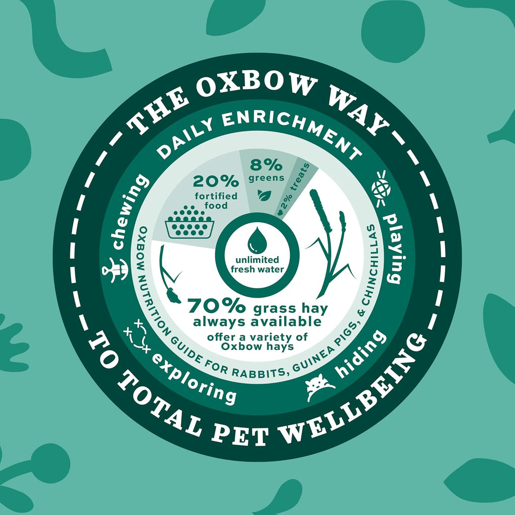 Western Timothy Hay, Guinea Pig Hay, Small Pet Bunny Supplies, All Natural Grass for Guinea Pig, Bunny, Chinchilla & Hamster,  Rabbit Supplies for Bunnies, 9 Lb Box