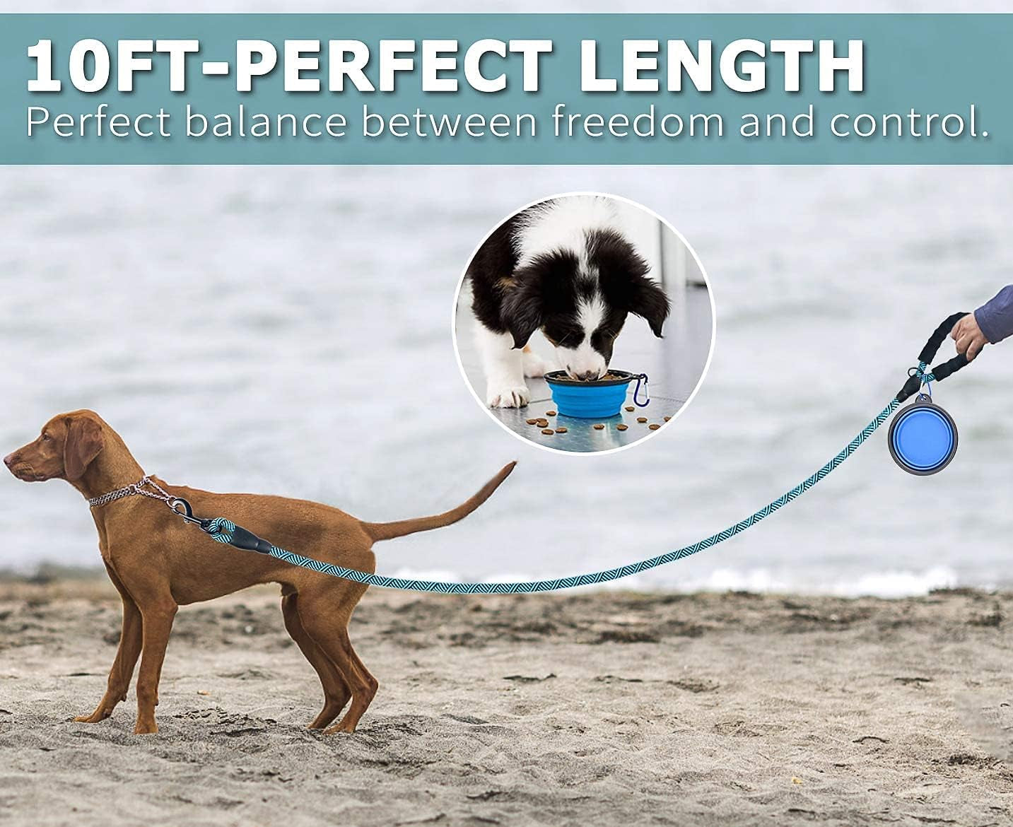 Dog Leash 10FT Thick Durable Nylon Rope - Comfortable Padded Handle Non Reflective Rope Dog Leash for Medium Large Dogs with Collapsible Pet Bowl and Garbage Bags (Non-Reflective10 FT -Blue